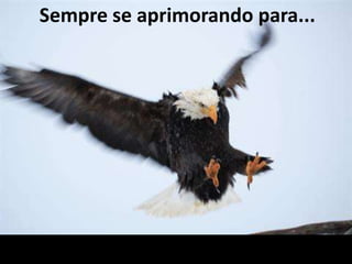 Todo Problema é uma oportunidade disfarçada.