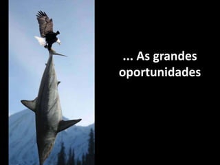 Todo Problema é uma oportunidade disfarçada.