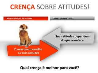CRENÇA SOBRE ATITUDES!
Você na direção da sua vida.   Deixa a vida me Levar…




              Qual crença é melhor para você?
 