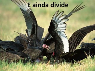 E ainda divide
 