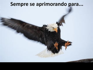 Sempre se aprimorando para...
 