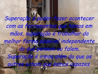 Superação é poder fazer acontecer com as ferramentas que temos em mãos, superação é trabalhar da melhor forma possível independente do que pensem ou falem. Superação é irmos além do que os outros acham que somos capazes. 
