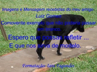 Formatação: Iara Fagundes Imagens e Mensagem recebidas do meu amigo   Luiz Gomes Comovente exemplo que não poderia passar em branco.   Espero que possas refletir ... E que nos sirva de modelo. 