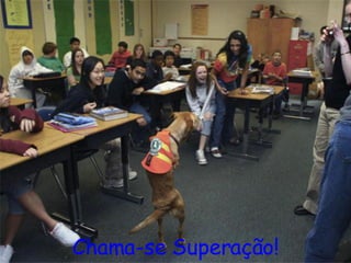 Chama-se Superação! 