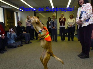 Chama-se Superação! 