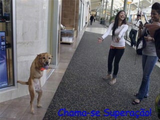 Chama-se Superação! 