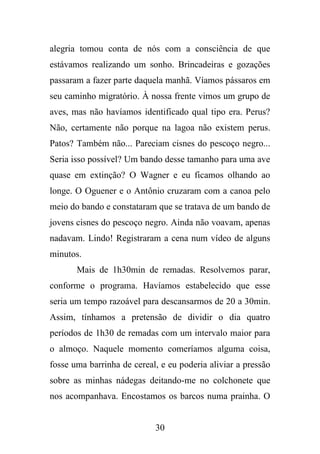 alegria tomou conta de nós com a consciência de que
estávamos realizando um sonho. Brincadeiras e gozações
passaram a fazer parte daquela manhã. Víamos pássaros em
seu caminho migratório. À nossa frente vimos um grupo de
aves, mas não havíamos identificado qual tipo era. Perus?
Não, certamente não porque na lagoa não existem perus.
Patos? Também não... Pareciam cisnes do pescoço negro...
Seria isso possível? Um bando desse tamanho para uma ave
quase em extinção? O Wagner e eu ficamos olhando ao
longe. O Oguener e o Antônio cruzaram com a canoa pelo
meio do bando e constataram que se tratava de um bando de
jovens cisnes do pescoço negro. Ainda não voavam, apenas
nadavam. Lindo! Registraram a cena num vídeo de alguns
minutos.
Mais de 1h30min de remadas. Resolvemos parar,
conforme o programa. Havíamos estabelecido que esse
seria um tempo razoável para descansarmos de 20 a 30min.
Assim, tínhamos a pretensão de dividir o dia quatro
períodos de 1h30 de remadas com um intervalo maior para
o almoço. Naquele momento comeríamos alguma coisa,
fosse uma barrinha de cereal, e eu poderia aliviar a pressão
sobre as minhas nádegas deitando-me no colchonete que
nos acompanhava. Encostamos os barcos numa prainha. O

30

 