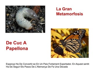 La Gran
Metamorfosis
De Cuc A
Papellona
Espanya Ha De Convertir-se En Un Pais Fortament Exportador. En Aquest sentit
Ha De Seguir Els Pasos De L’Alemanya De Fa Una Decada
 