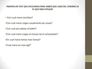PROPON UN TEST QUE APLICARIAS PARA SABER QUE LADO DEL CEREBRO ES
                      EL QUE MAS UTILIZAS


• Con cual mano escribes?

•Con cual mano coges usualmente las cosas?

•Con cual pie pateas el balón?

•Con cual mano coges el mouse de el computador?

•En cual mano tienes mas fuerza?

•Cual mano es mas ágil?
 