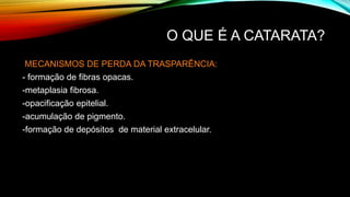 O QUE É A CATARATA?
MECANISMOS DE PERDA DA TRASPARÊNCIA:
- formação de fibras opacas.
-metaplasia fibrosa.
-opacificação epitelial.
-acumulação de pigmento.
-formação de depósitos de material extracelular.
 