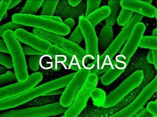 GRACIAS