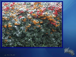 pps : Vörösné Bíró Judit
 