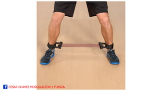 CESAR CHAVEZ MUSCULACION Y FUERZA
 