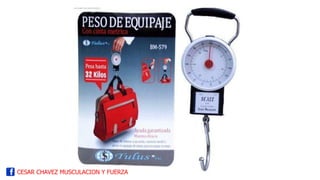 CESAR CHAVEZ MUSCULACION Y FUERZA
 