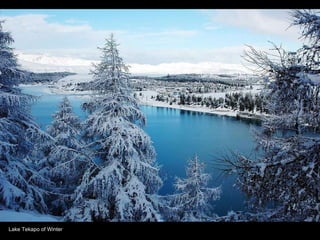 Lake Tekapo of Winter 