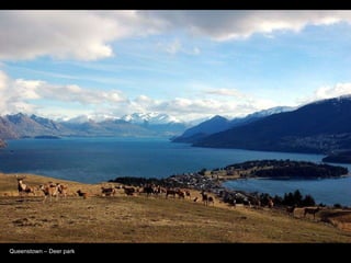 Queenstown – Deer park 