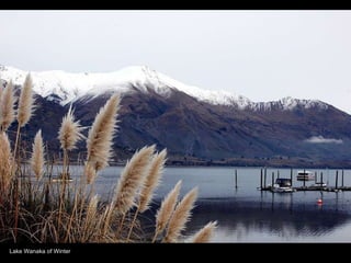 Lake Wanaka of Winter 