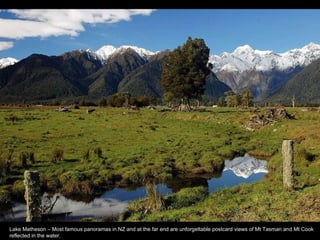 Lake Matheson – Most famous panoramas in NZ and at the far end are unforgettable postcard views of Mt Tasman and Mt Cook reflected in the water.  
