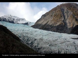 Fox glacier - Full-day walking, experience the amazing place of the nature 