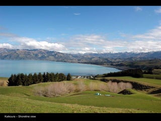 Kaikoura – Shoreline view 