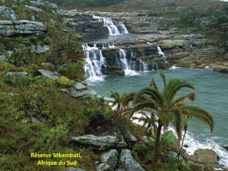 Réserve Mkambati,  Afrique du Sud 