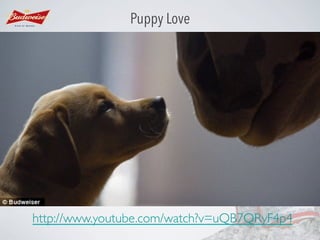 Puppy Love

http://www.youtube.com/watch?v=uQB7QRyF4p4	


 