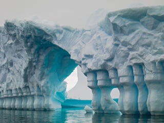 Superb pictures