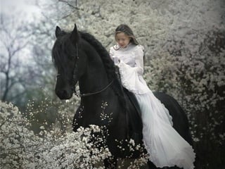 Superb pictures