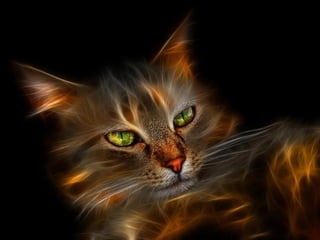 Superb pictures