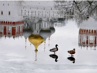 Superb pictures