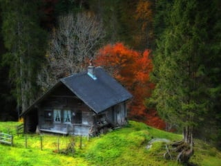 Superb pictures