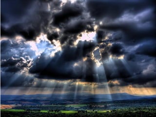 Superb pictures