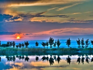 Superb pictures