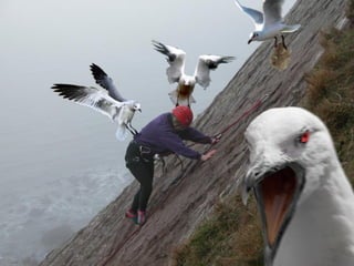 Superb pictures
