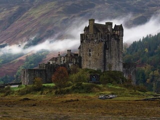Superb pictures