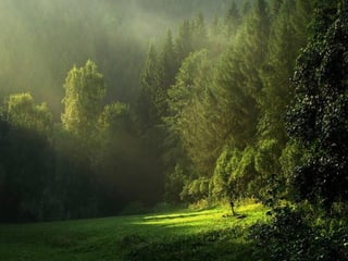Superb pictures