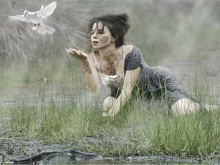 Superb pictures