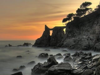 Superb pictures