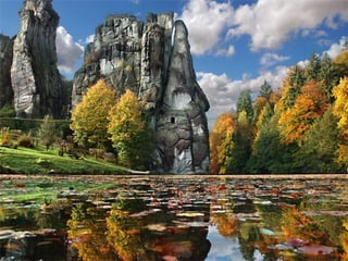Superb pictures