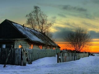 Superb pictures