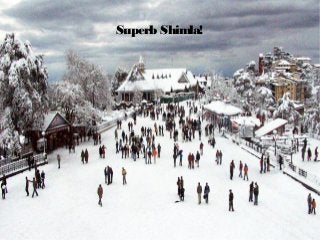 Superb Shimla!
 