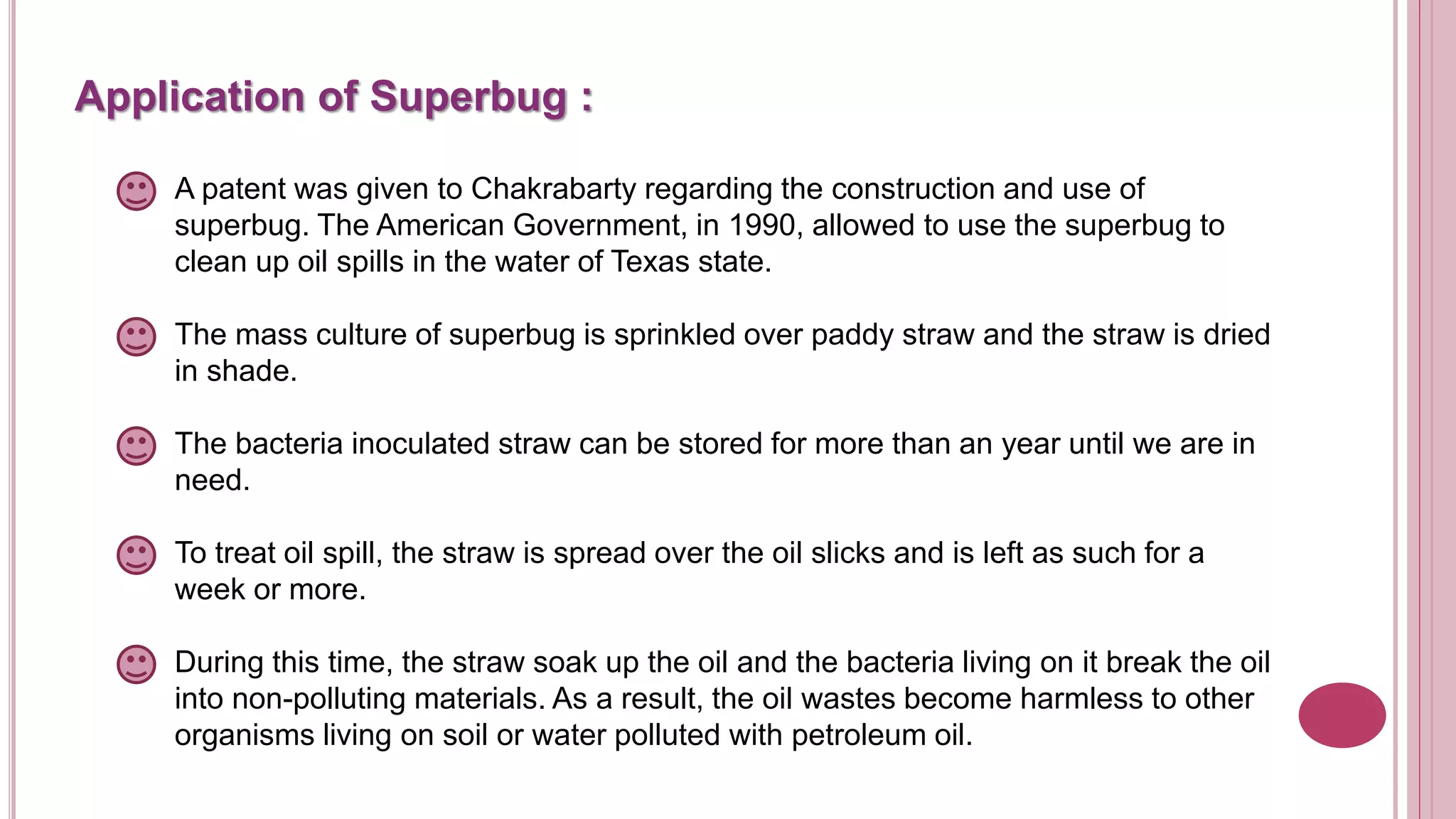 Application of Superbug :
A patent was given to Chakrabarty regarding the construction and use of
superbug. The American Government, in 1990, allowed to use the superbug to
clean up oil spills in the water of Texas state.
The mass culture of superbug is sprinkled over paddy straw and the straw is dried
in shade.
The bacteria inoculated straw can be stored for more than an year until we are in
need.
To treat oil spill, the straw is spread over the oil slicks and is left as such for a
week or more.
During this time, the straw soak up the oil and the bacteria living on it break the oil
into non-polluting materials. As a result, the oil wastes become harmless to other
organisms living on soil or water polluted with petroleum oil.
 