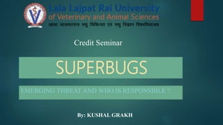SUPERBUGS
EMERGING THREAT AND WHO IS RESPONSIBLE ?
Credit Seminar
By: KUSHAL GRAKH
 