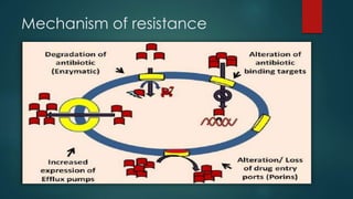 Mechanism of resistance
 