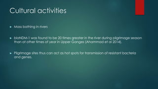 Cultural activities
► Mass bathing in rivers
► blaNDM-1 was found to be 20 times greater in the river during pilgrimage season
than at other times of year in Upper Ganges (Ahammad et al 2014).
► Pilgrimage sites thus can act as hot spots for transmission of resistant bacteria
and genes.
 