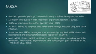 MRSA
► Most recognized superbugs - common in many hospitals throughout the world.
► Methicillin- introduced in 1959 -treatment of penicillin-resistant S. aureus.
► MRSA was first detected in 1961 (Ippolito et al., 2010).
► At first- limited to hospitals and healthcare settings -hospital acquired MRSA
infection.
► Since the late 1990s- emergence of community-acquired MRSA strains with
rapid spread and causing fatal diseases (Ippolito et al., 2010).
► Most MRSA strains exhibit resistance to multiple drugs including penicillin,
methicillin, tetracycline, erythromycin and vancomycin (de Lencastre et al.,
1996; Smith et al., 2014).
 