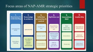 Focus areas of NAP-AMR strategic priorities
 