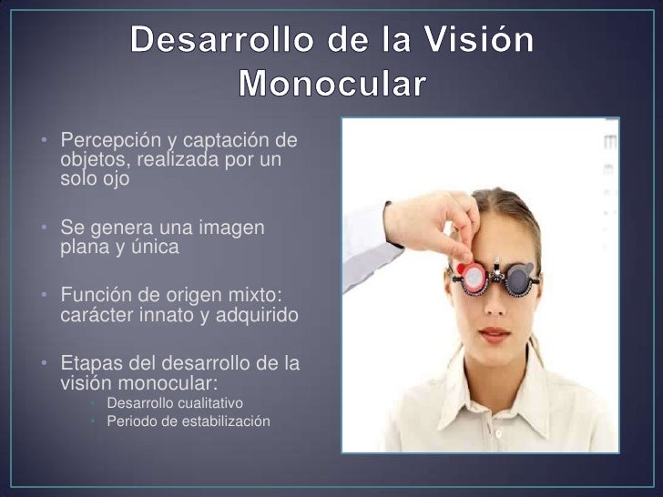 Vision monocular, desarrollo de la Agudeza Visual y Fijación