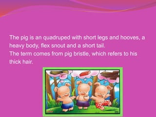 The pig is an quadruped with short legs and hooves, a
heavy body, flex snout and a short tail.
The term comes from pig bristle, which refers to his
thick hair.
 