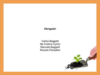 Obrigado! Carlos Baggetti Illa Cristina Cyrino Manuela Baggetti Ricardo Pampillon 